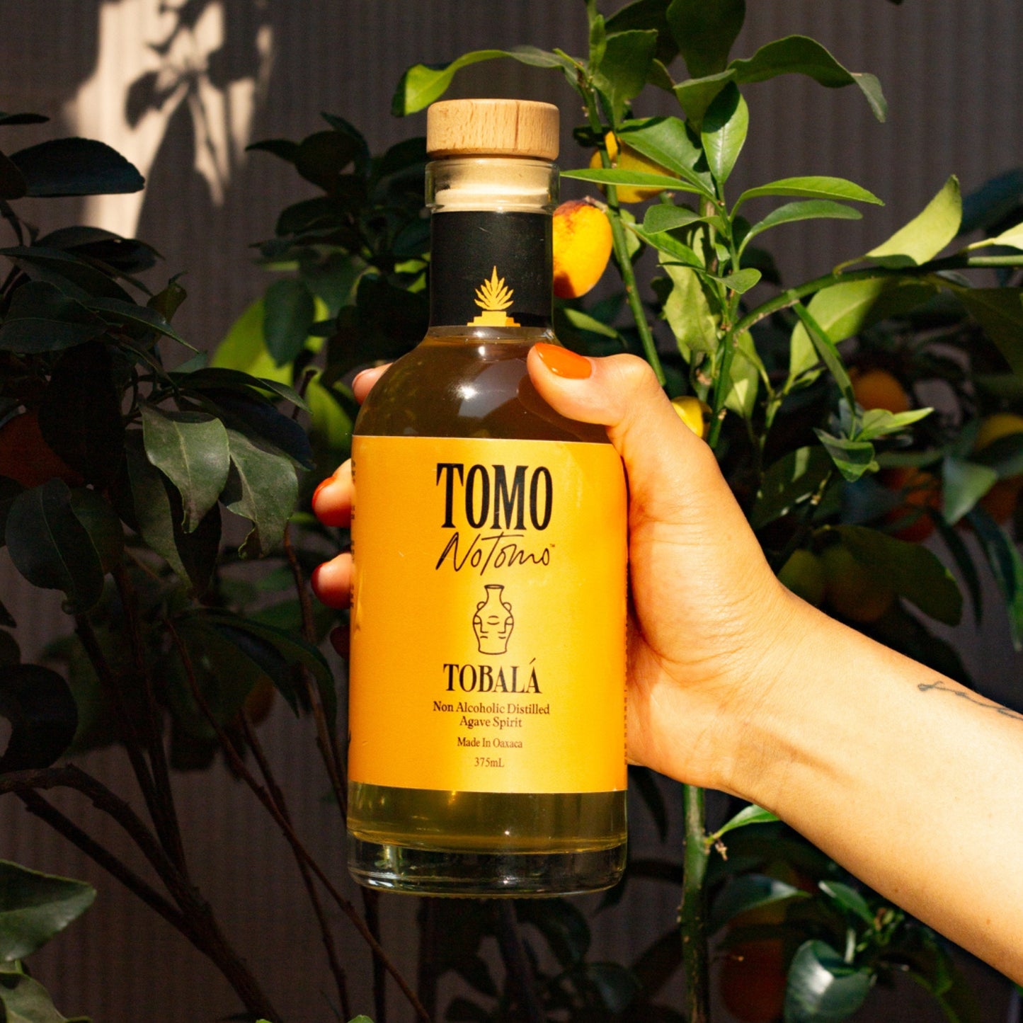 Distilled Agave Spirit: Natural and Non-Alcoholic | TOMONOTOMO