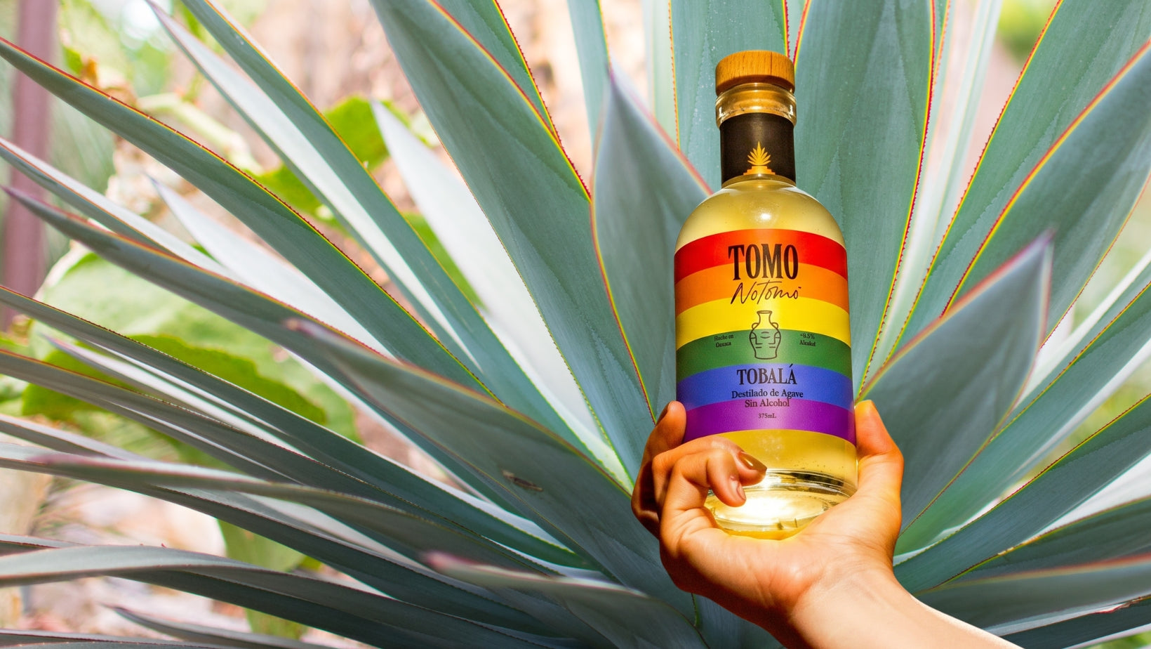 TOMONOTOMO: All Natural Non-alcoholic Distilled Agave Spirit